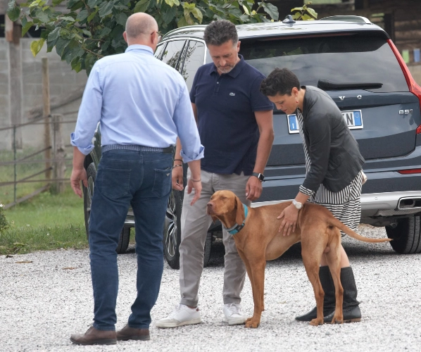 RIParty Nimis 2021 - Foto 99